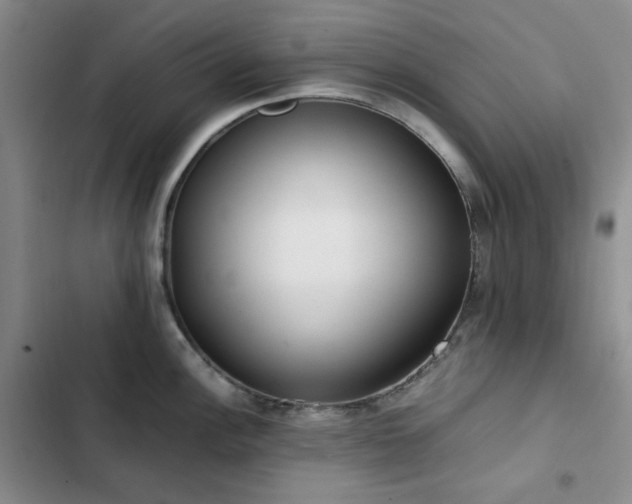 X0000102841148200808181342