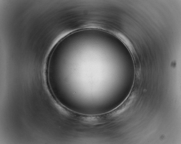 X0000102841149200808181342