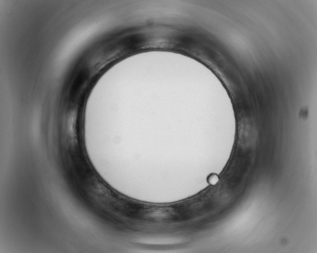 X0000102841150200808181342