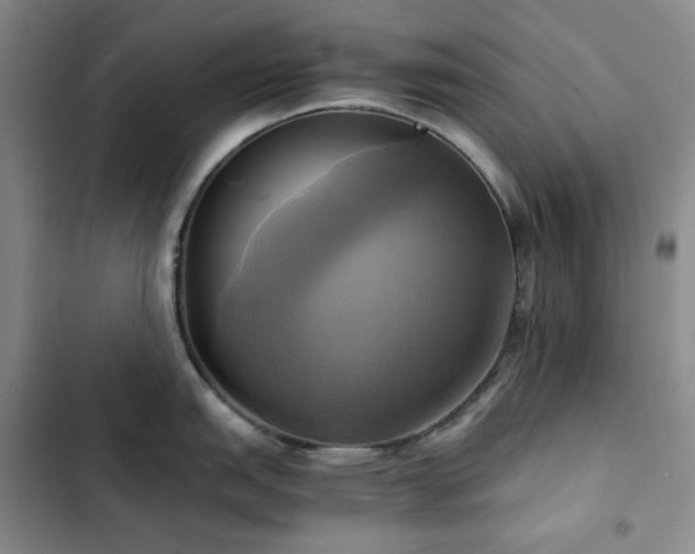 X0000102841151200808181342