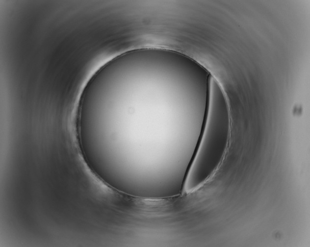 X0000102841152200808181342
