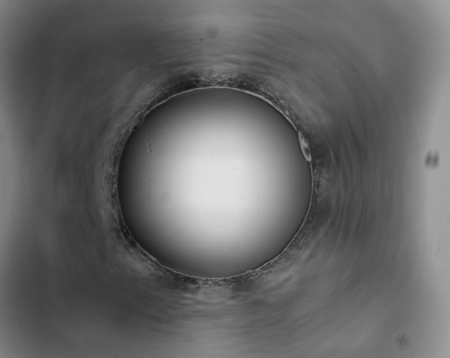 X0000102841153200808181341