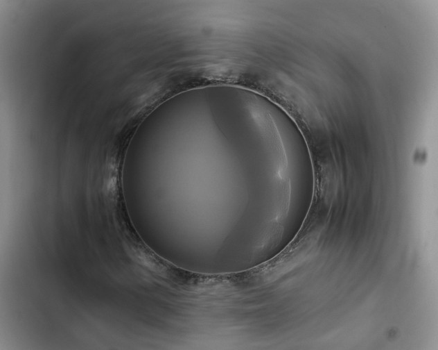 X0000102841154200808181341