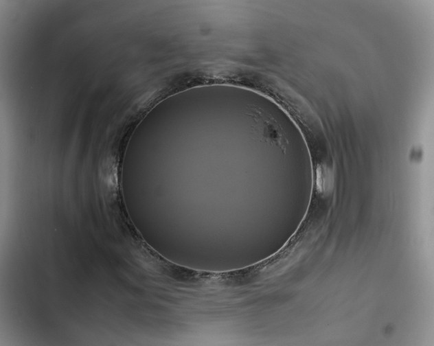 X0000102841155200808181341