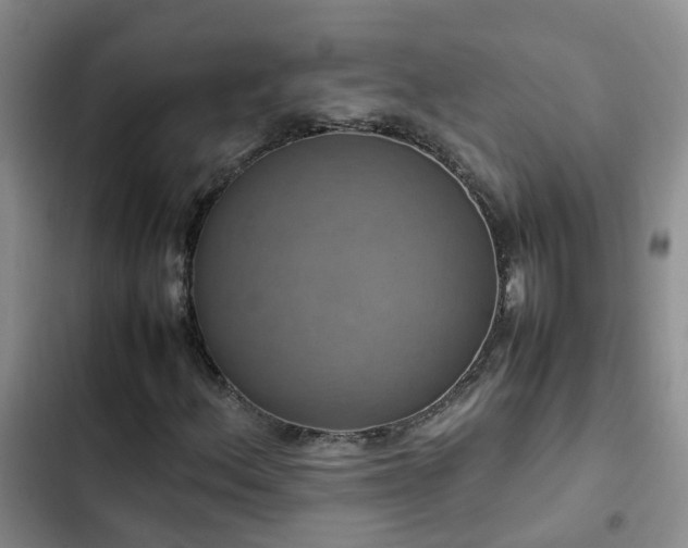 X0000102841156200808181341