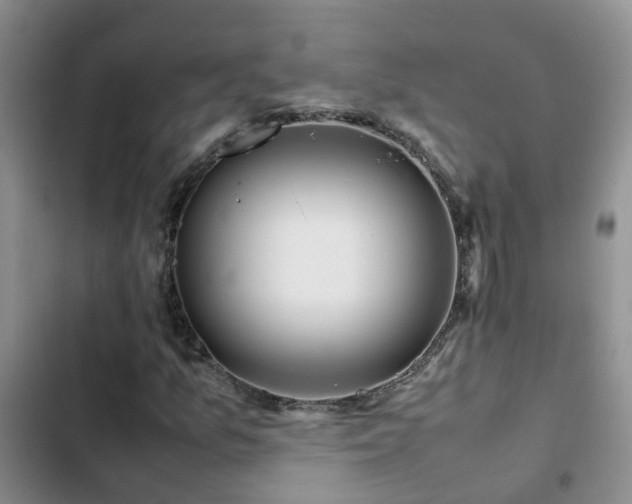 X0000102841157200808181341