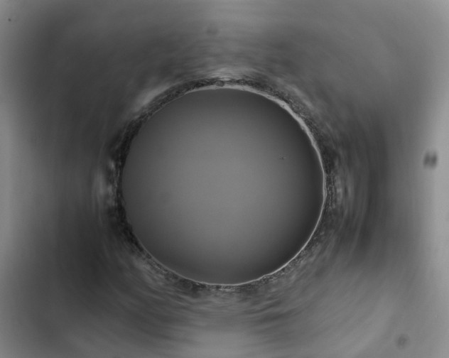 X0000102841158200808181341