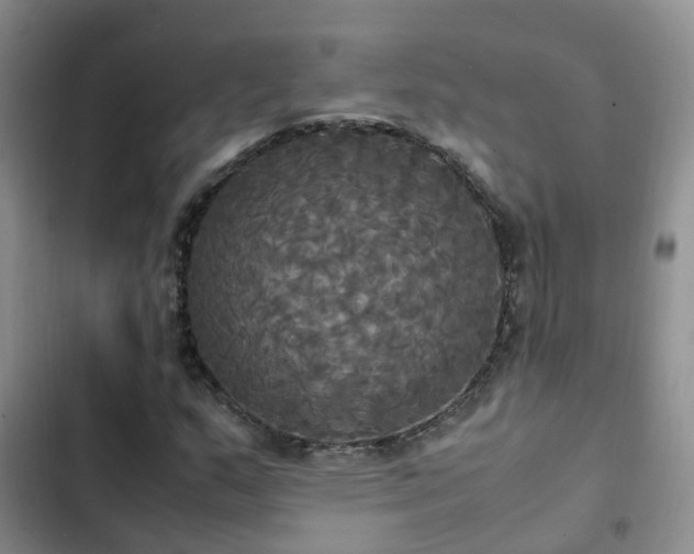 X0000102841159200808181341