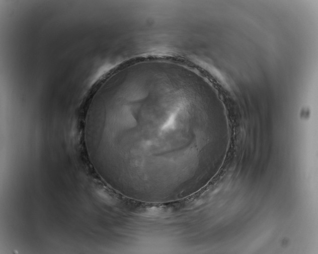 X0000102841160200808181341