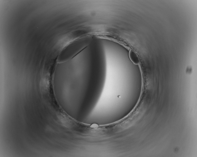 X0000102841161200808181341