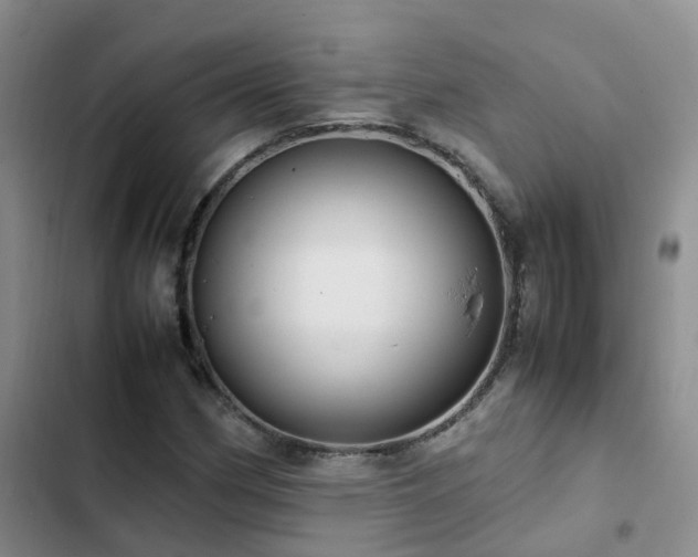 X0000102841162200808181341