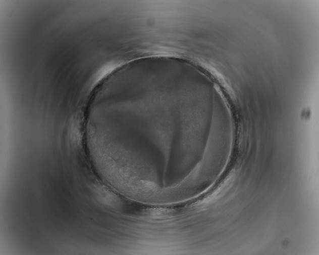 X0000102841163200808181341
