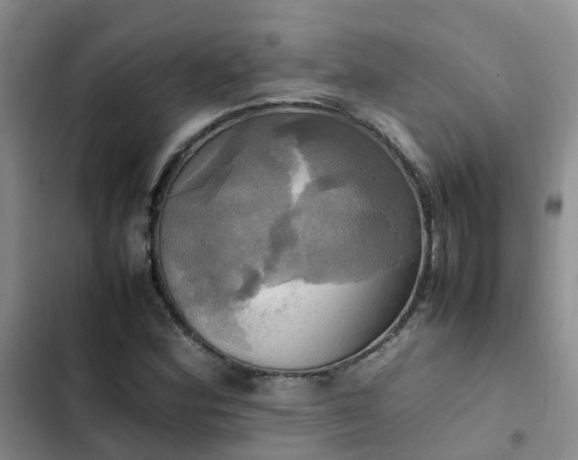 X0000102841164200808181341