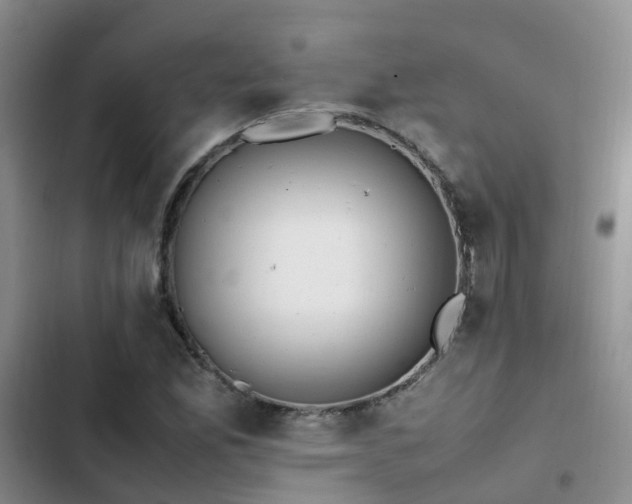 X0000102841165200808181341