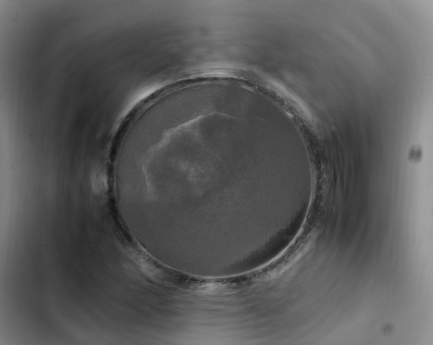 X0000102841166200808181341