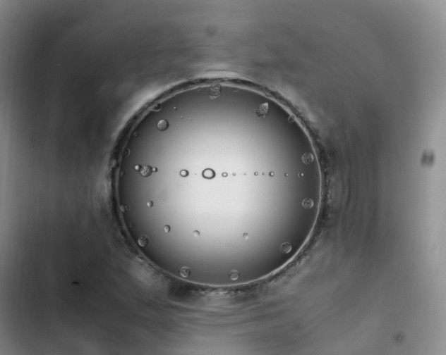 X0000102841167200808181341