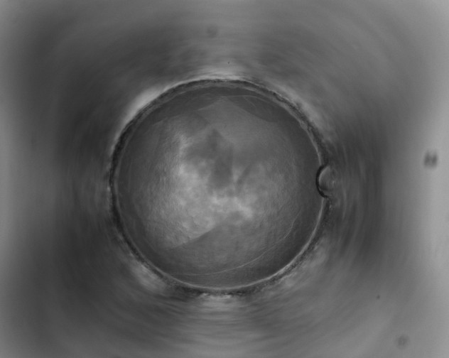 X0000102841168200808181341