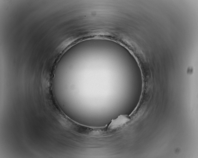 X0000102841169200808181341