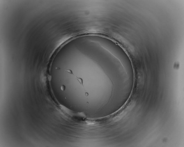 X0000102841170200808181341