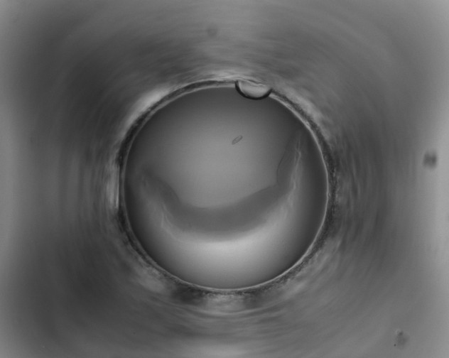 X0000102841171200808181341