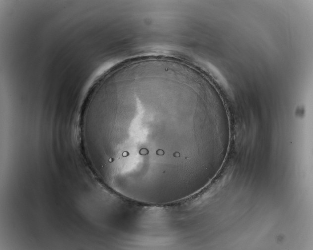 X0000102841172200808181341