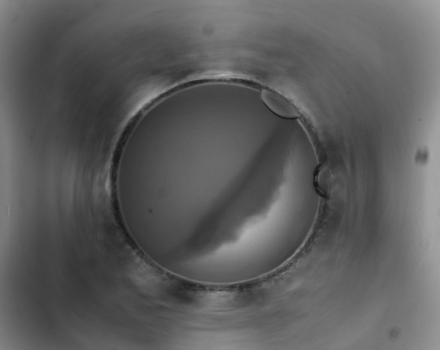 X0000102841173200808181341