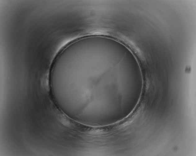 X0000102841174200808181341