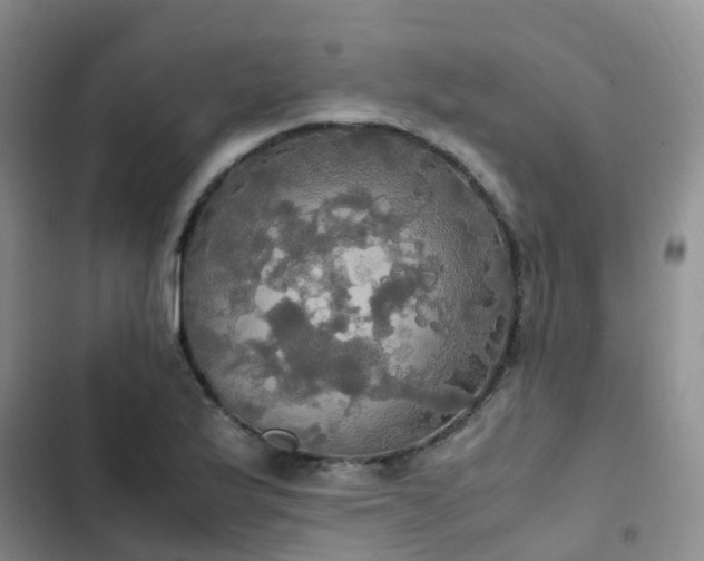 X0000102841175200808181341