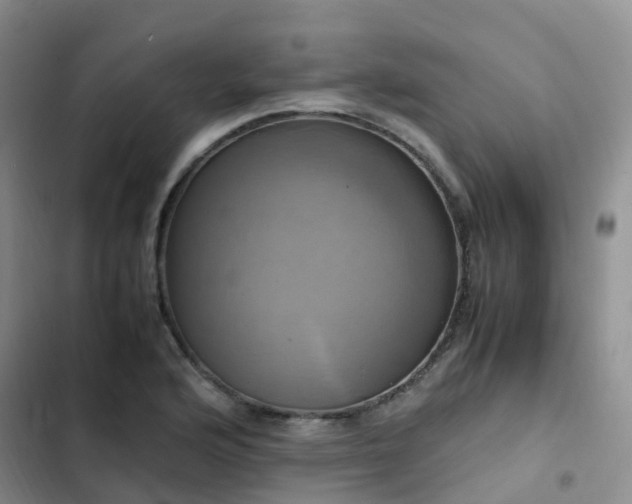 X0000102841176200808181341