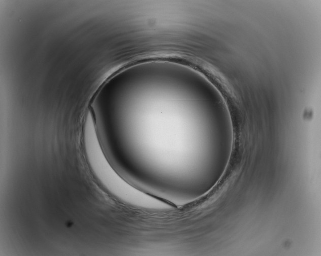 X0000102841177200808181341