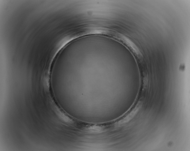 X0000102841178200808181341
