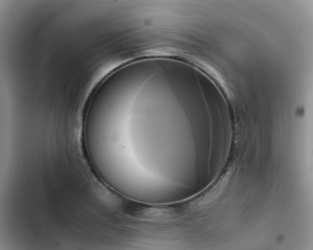 X0000102841179200808181341