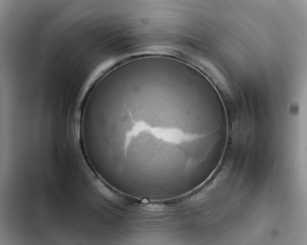 X0000102841180200808181341
