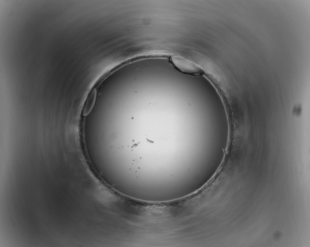 X0000102841181200808181341