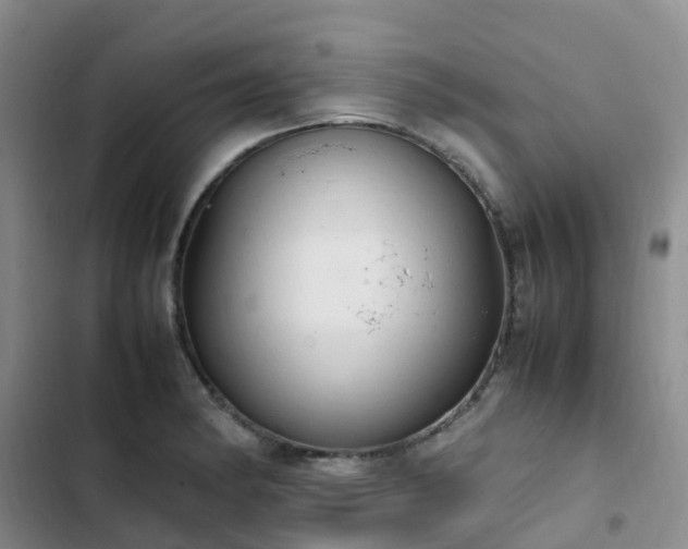 X0000102841182200808181341