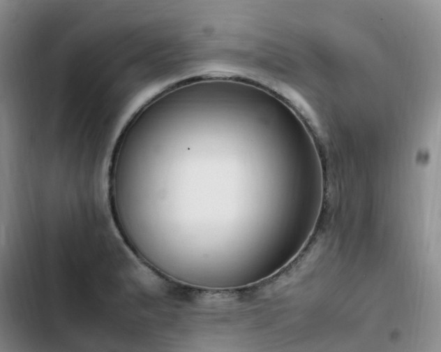 X0000102841183200808181341