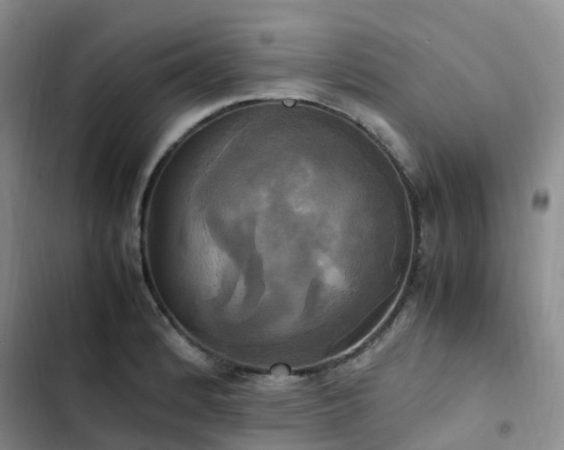 X0000102841184200808181341