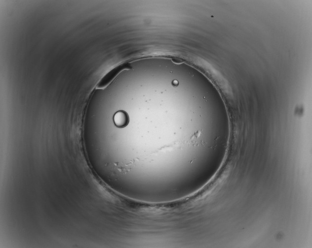 X0000102841185200808181341