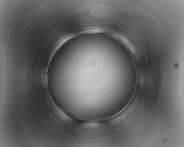 X0000102841186200808181341