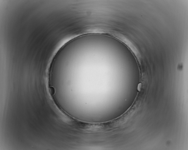X0000102841187200808181341