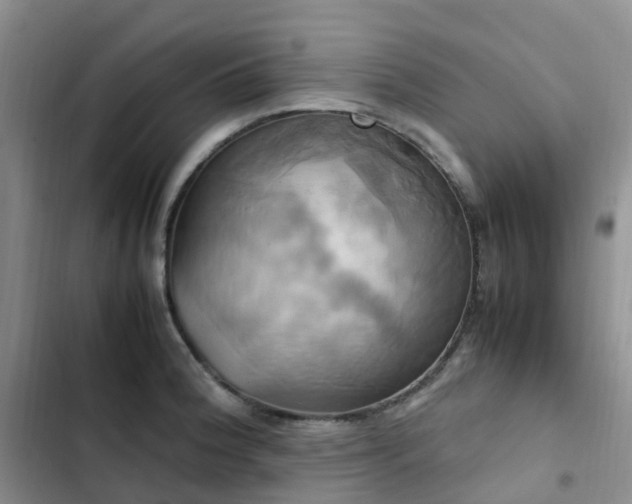 X0000102841188200808181341