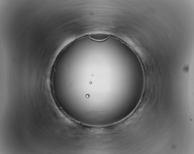 X0000102841189200808181340