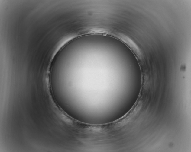 X0000102841190200808181340