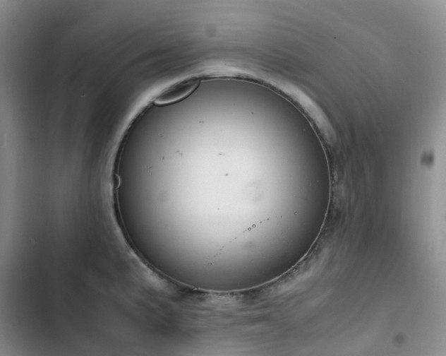X0000102841191200808181340