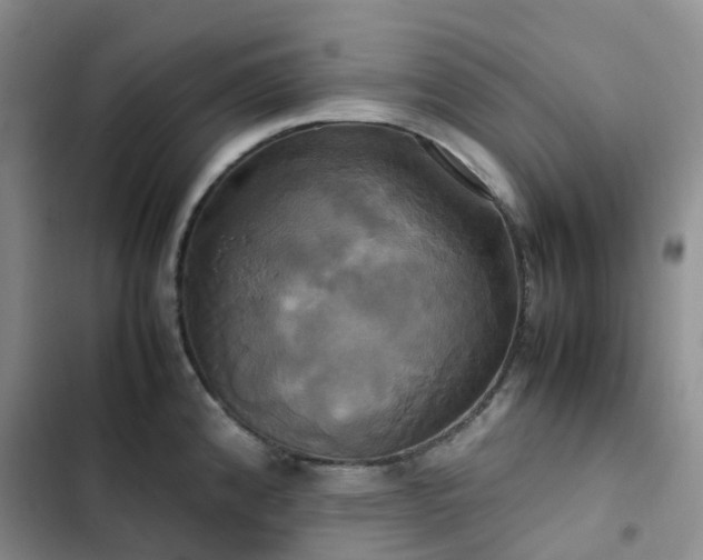 X0000102841192200808181340