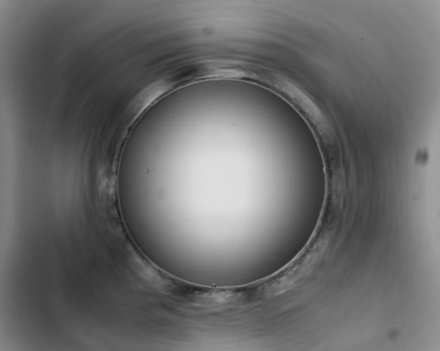 X0000102841193200808181340