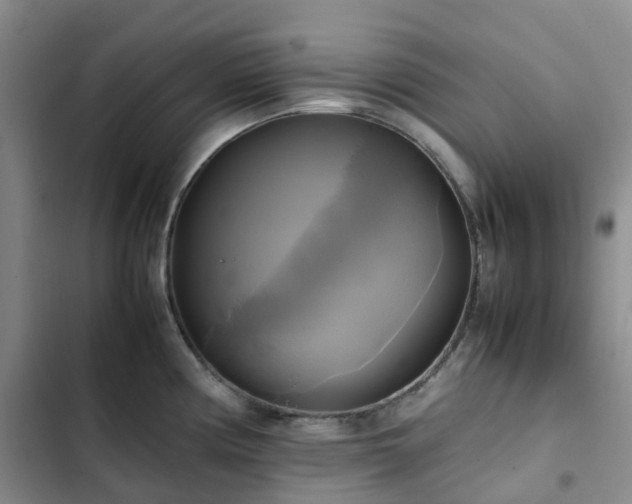 X0000102841194200808181340