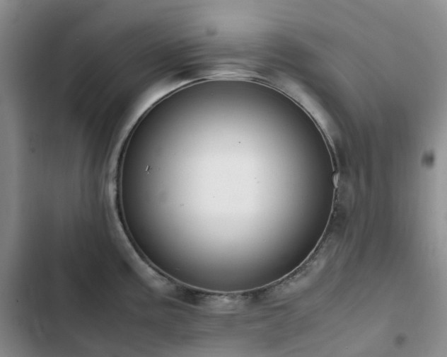 X0000102841195200808181340