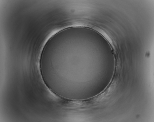 X0000102841197200808181340