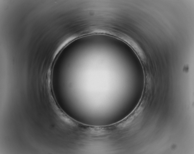 X0000102841198200808181340